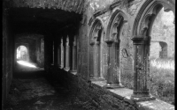 Bective Abbey