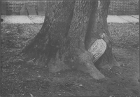 Vadstena Klosterkyrka