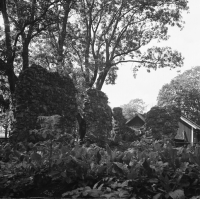 Tierp, Husbyborgs kyrkoruin