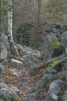 Fornborgen Stora Skansen