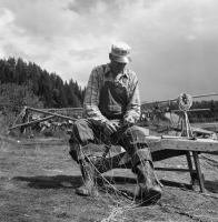 Bergeforsens dämningsområde