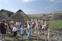 Image of Öl ACTARC37;211