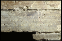 Image of Or Barnes20