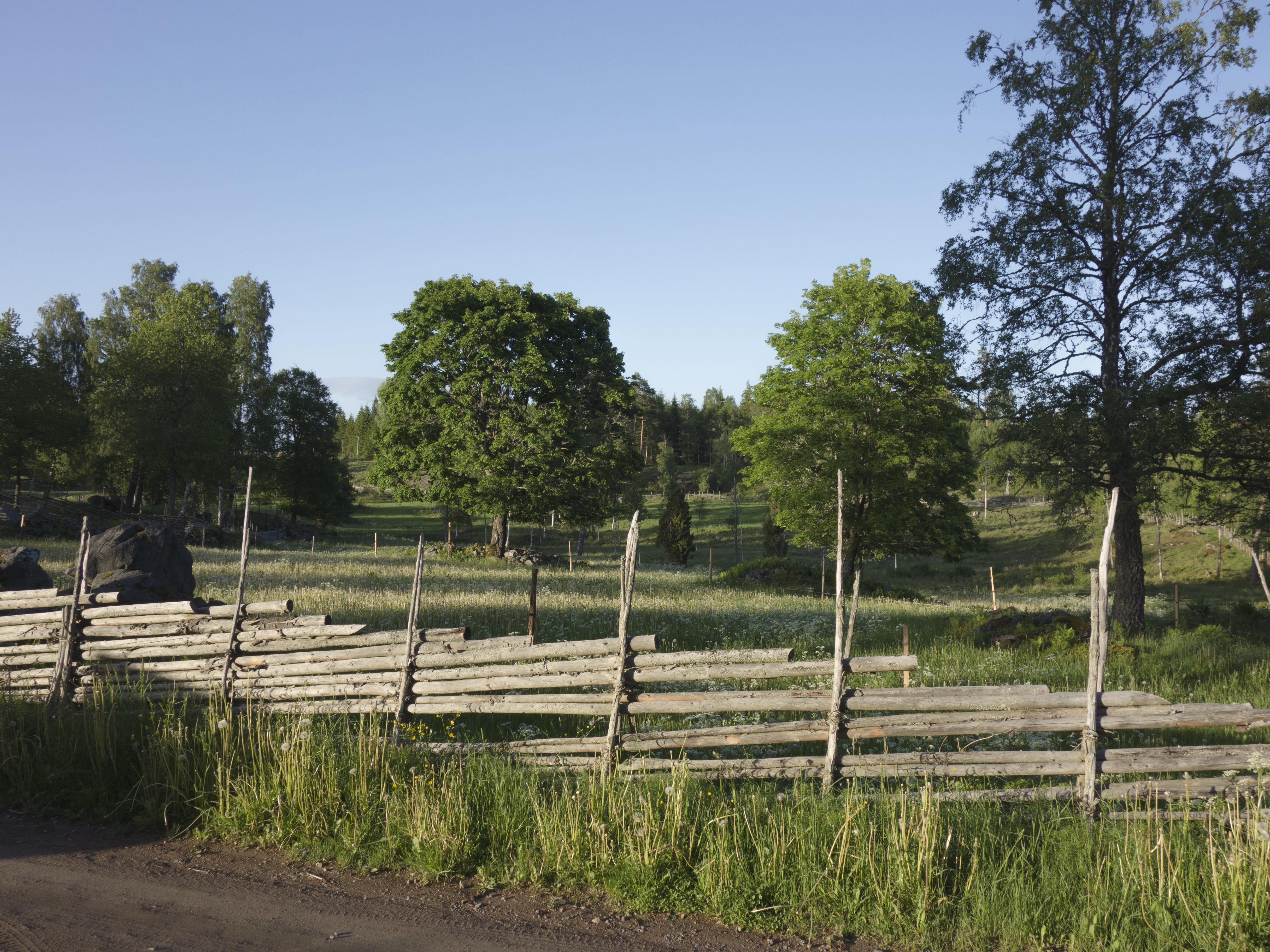 Leif Gren, Åsens by
