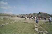 Image of Öl ACTARC37;211