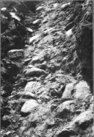 Ryda, Halvås kyrkplats Och ruin