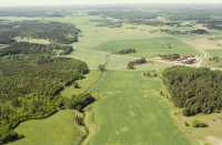 Läby 8:1-4