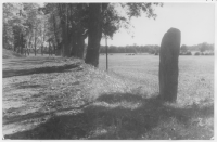 Trosa-Vagnhärads socken, möjligen en runsten