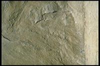 Image of Or Barnes10