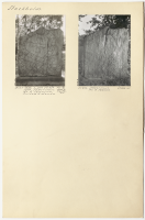 Södersluss. Sö 274.