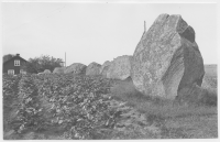 Askeberga, stensättningen Rane stenar