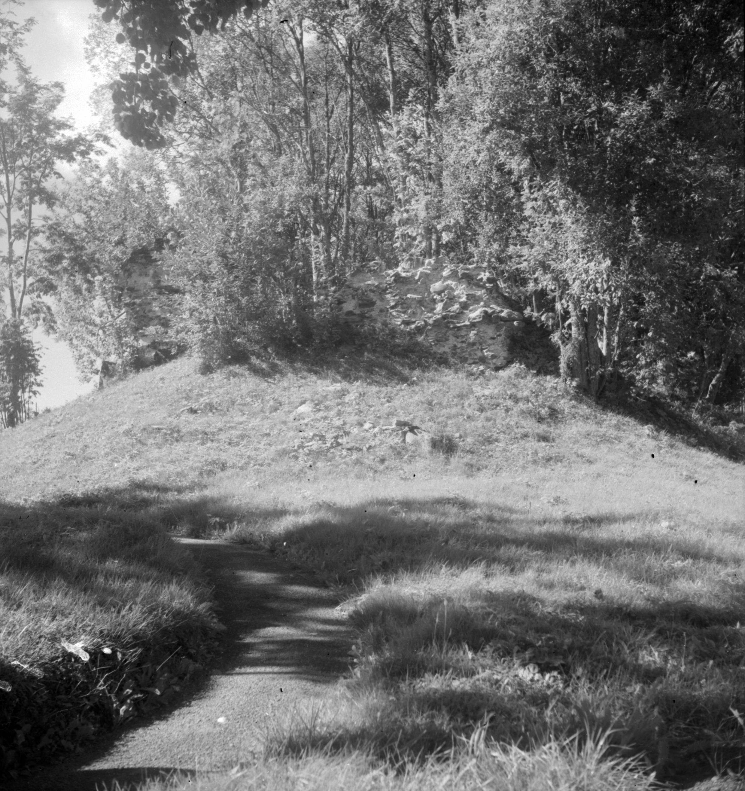 Iwar Anderson, Undersåkers kyrkoruin