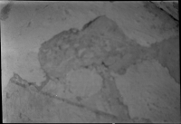 Sankta Gertruds kyrka