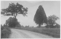 Landskap norr om Jäts nya kyrka