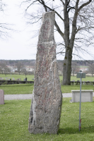 Image of Sö 40