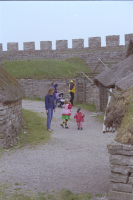 Image of Öl ACTARC37;211