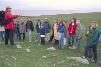 Vandringstur vid Ottenby