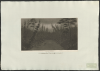 Aurore boreale.[Bild]