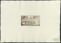 Vue & Plan de la Ville de Stralsund. Dessendué par le Roi de Suede en 1715.[Bild]