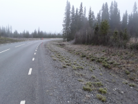 Landön undersökningsområde