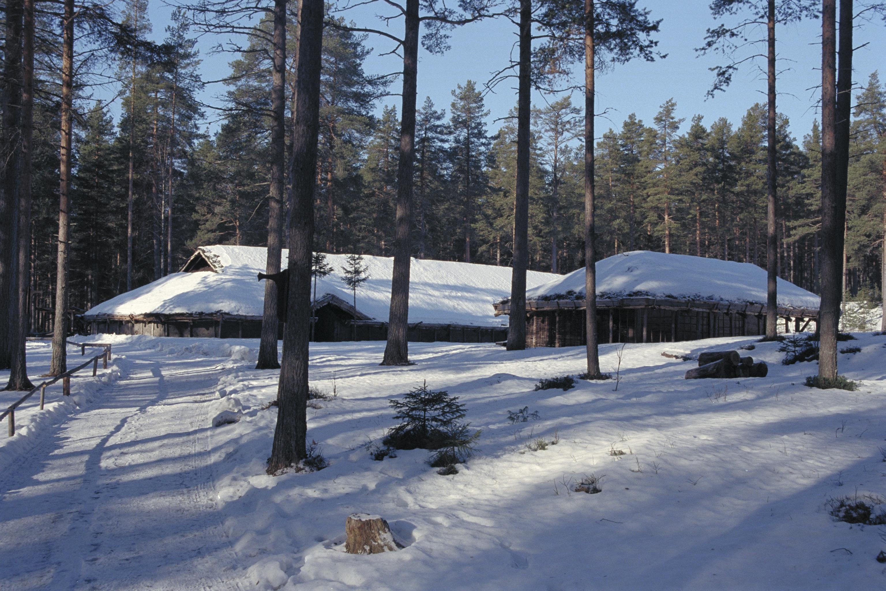 Bengt A Lundberg, Gene fornby