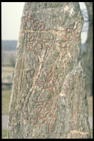 Image of Sö 40