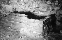 Skara domkyrka (Sankta Maria kyrka)