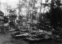 Skog, Sankt Olofs kapellruin