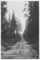 Stenbrohults socken, skogar