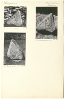 Hagahult. Runsignum Vg 159