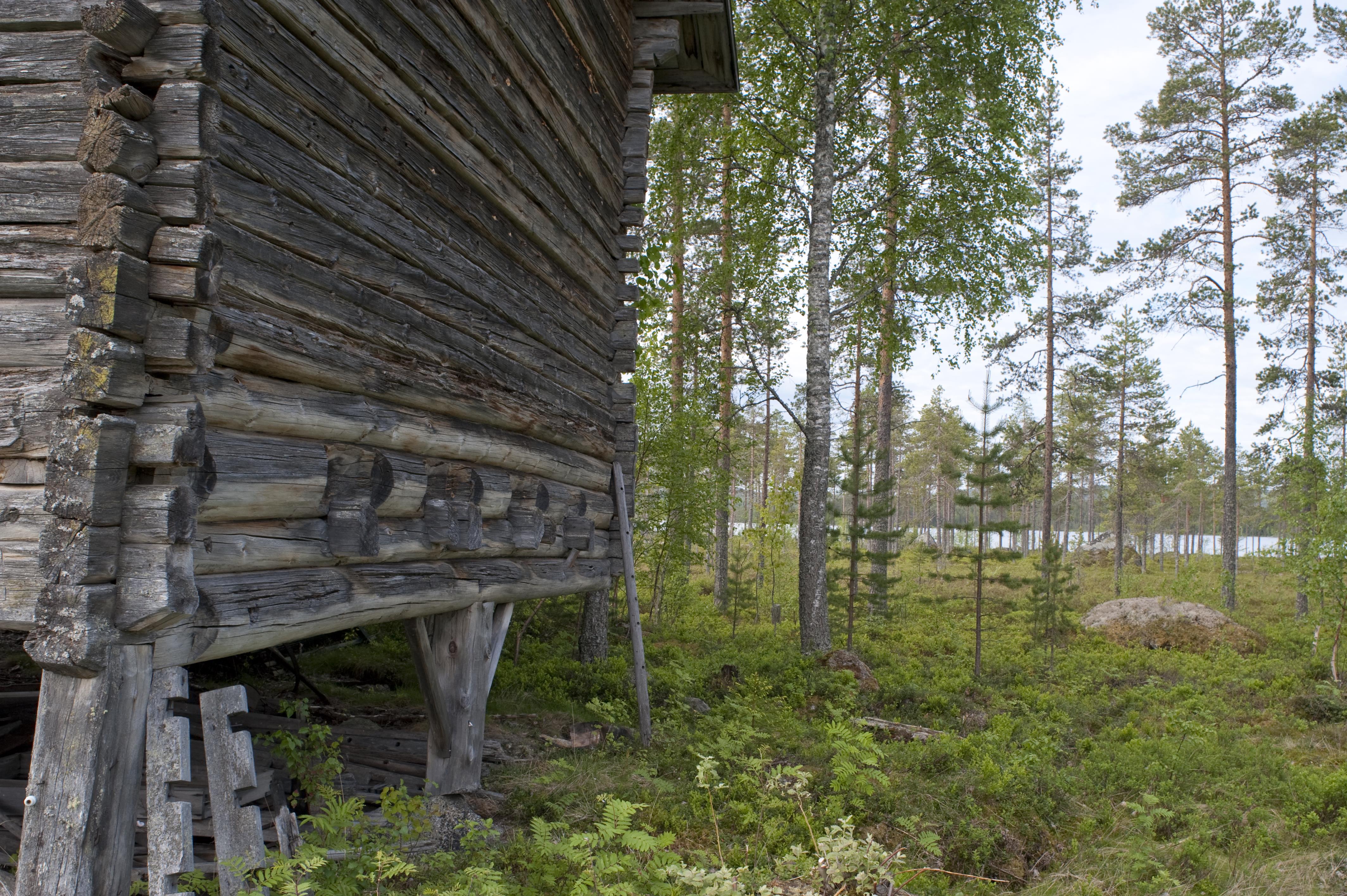 Bengt A Lundberg, Ljusdal Fågelsjö 1:1