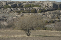 Tanum kulturlandskap