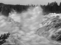 Norrforsen
