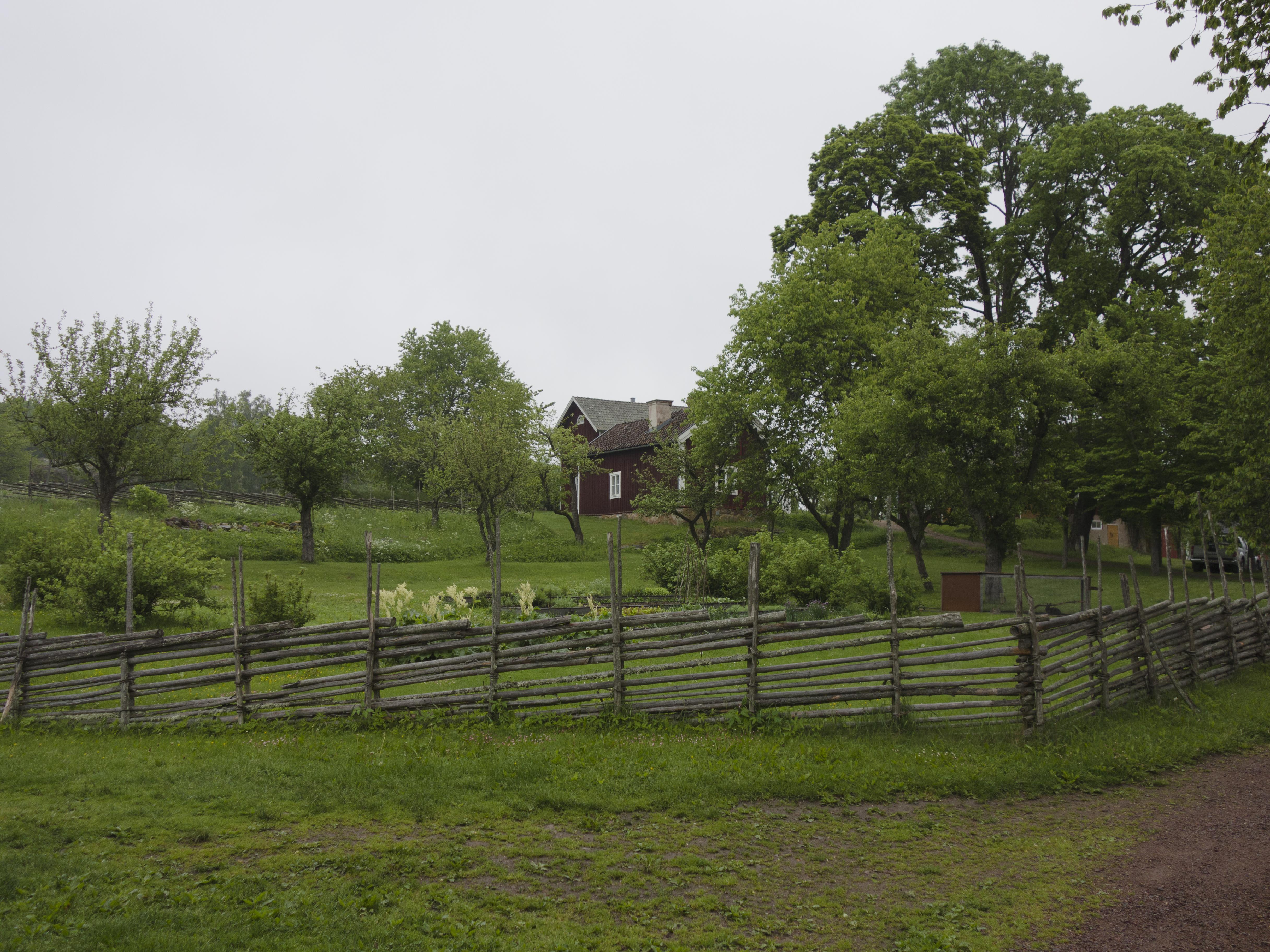 Leif Gren, Åsens by