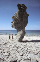 Langhammars raukfält