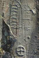 Image of Bo NIYR5;224