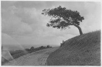 Hallandsås vid Båstad