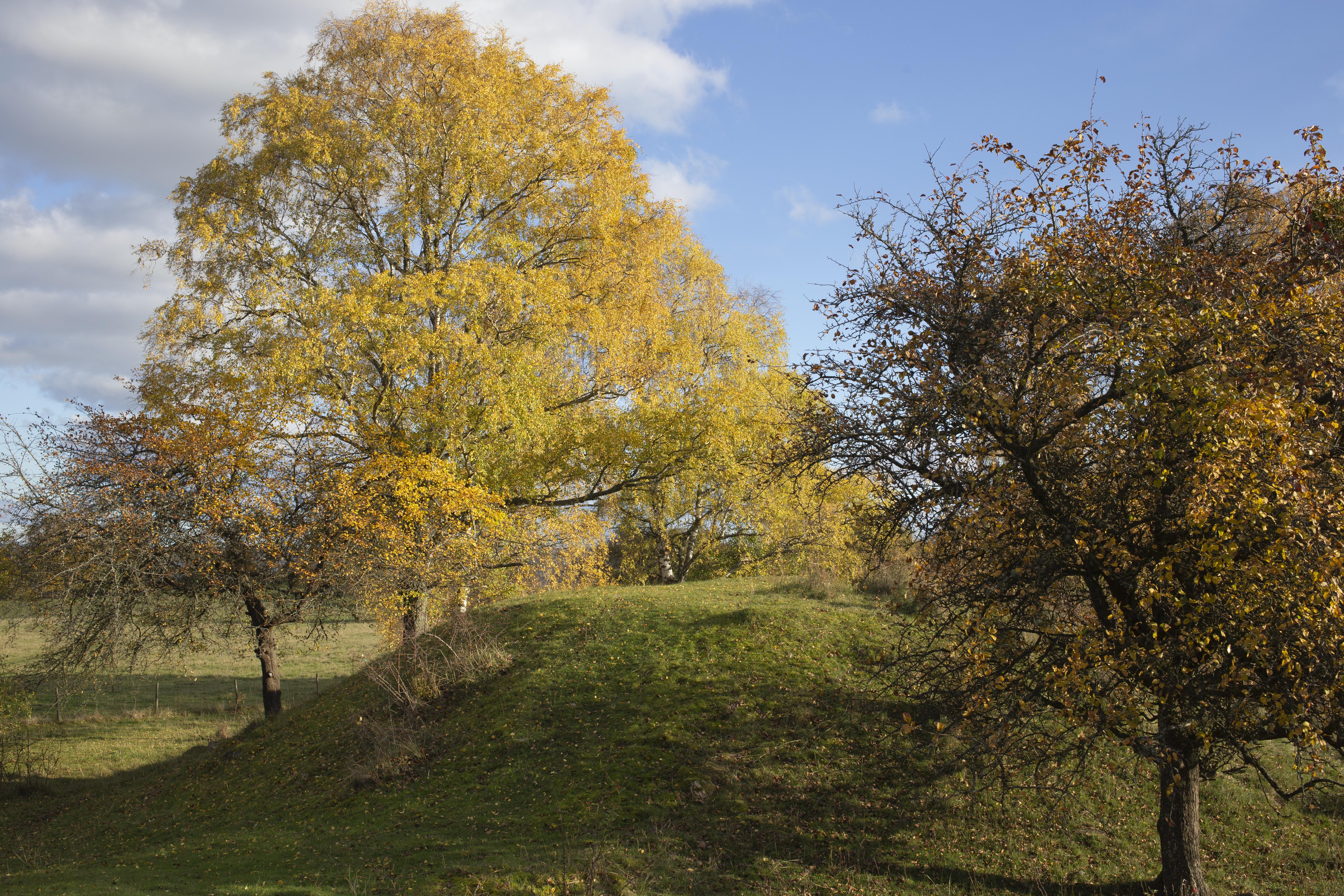 Leif Gren, Hovgården