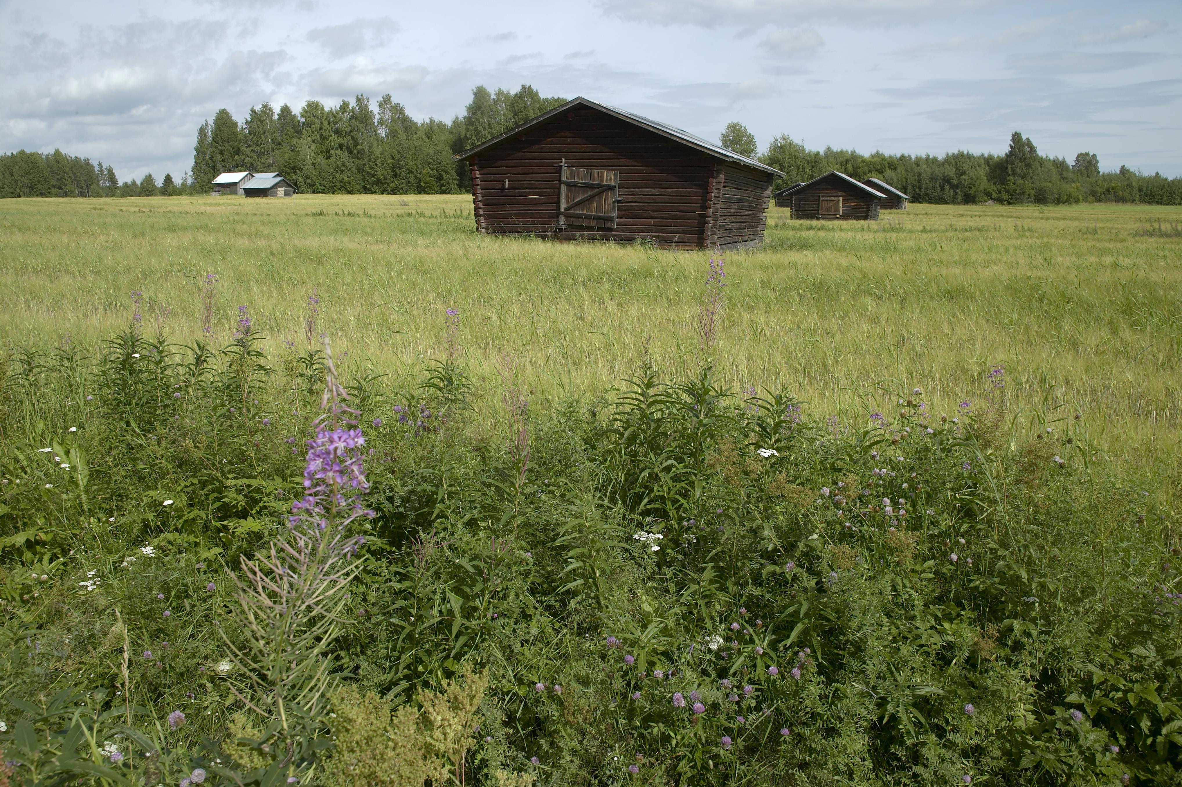 Bengt A Lundberg, Sjulnäs