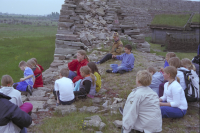 Image of Öl ACTARC37;211