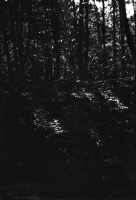 Bad Kissingen, Bayern