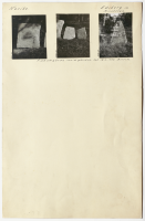 Riseberga kloster. Runsignum Nä 6, Nä 7, Nä 4, Nä 5