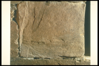 Image of Or Barnes20