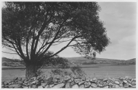 Mellan Orrekläpp och Grebbestad