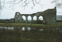 Image of Ög HedvallMenander473