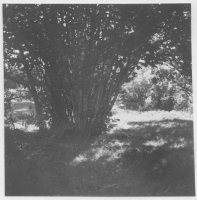 Borekulle, ödelagt torpställe