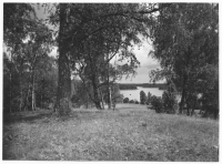 Ådö boplats vid Yngarn