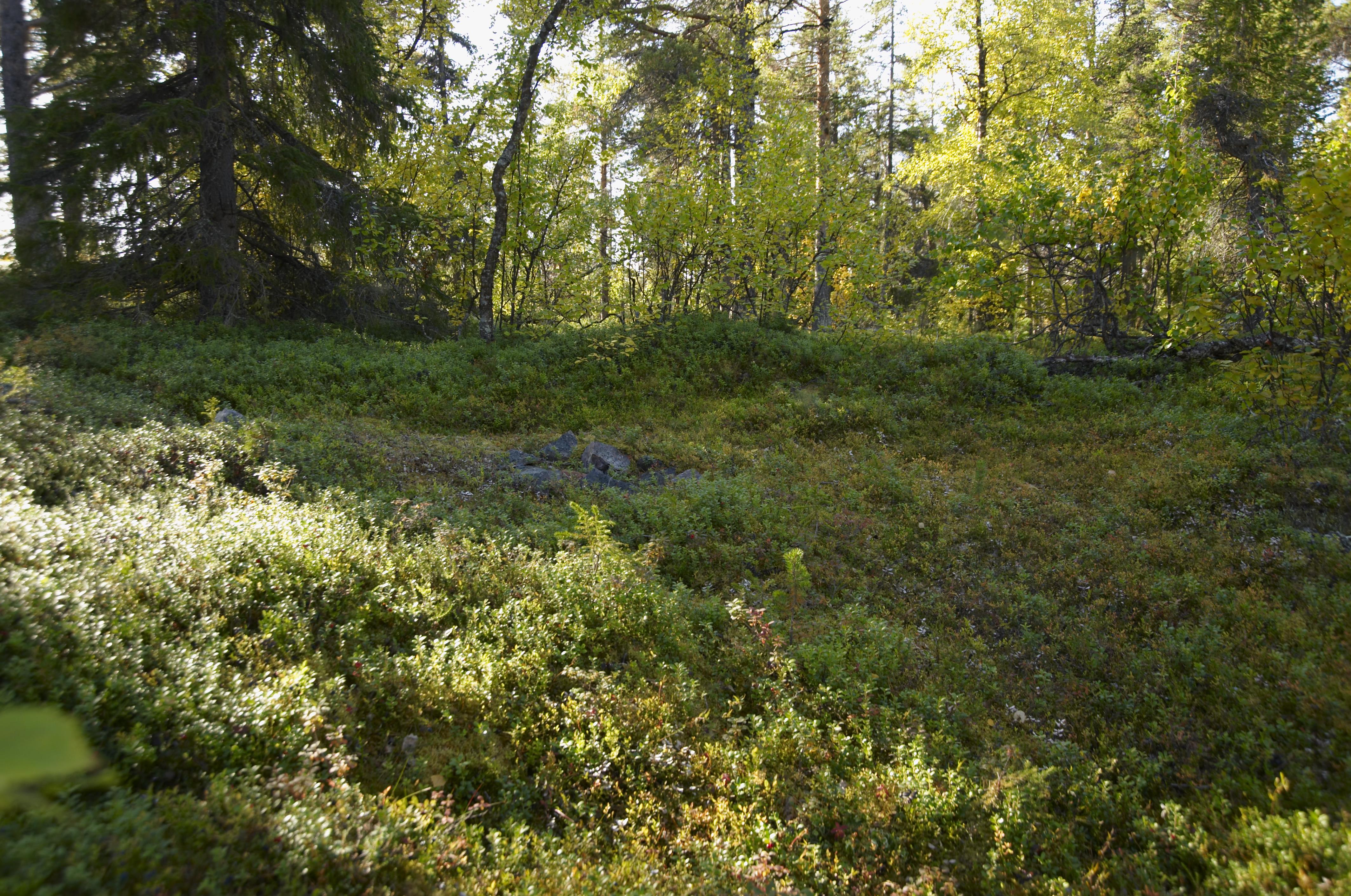Bengt A Lundberg, Gällivare 1501:1