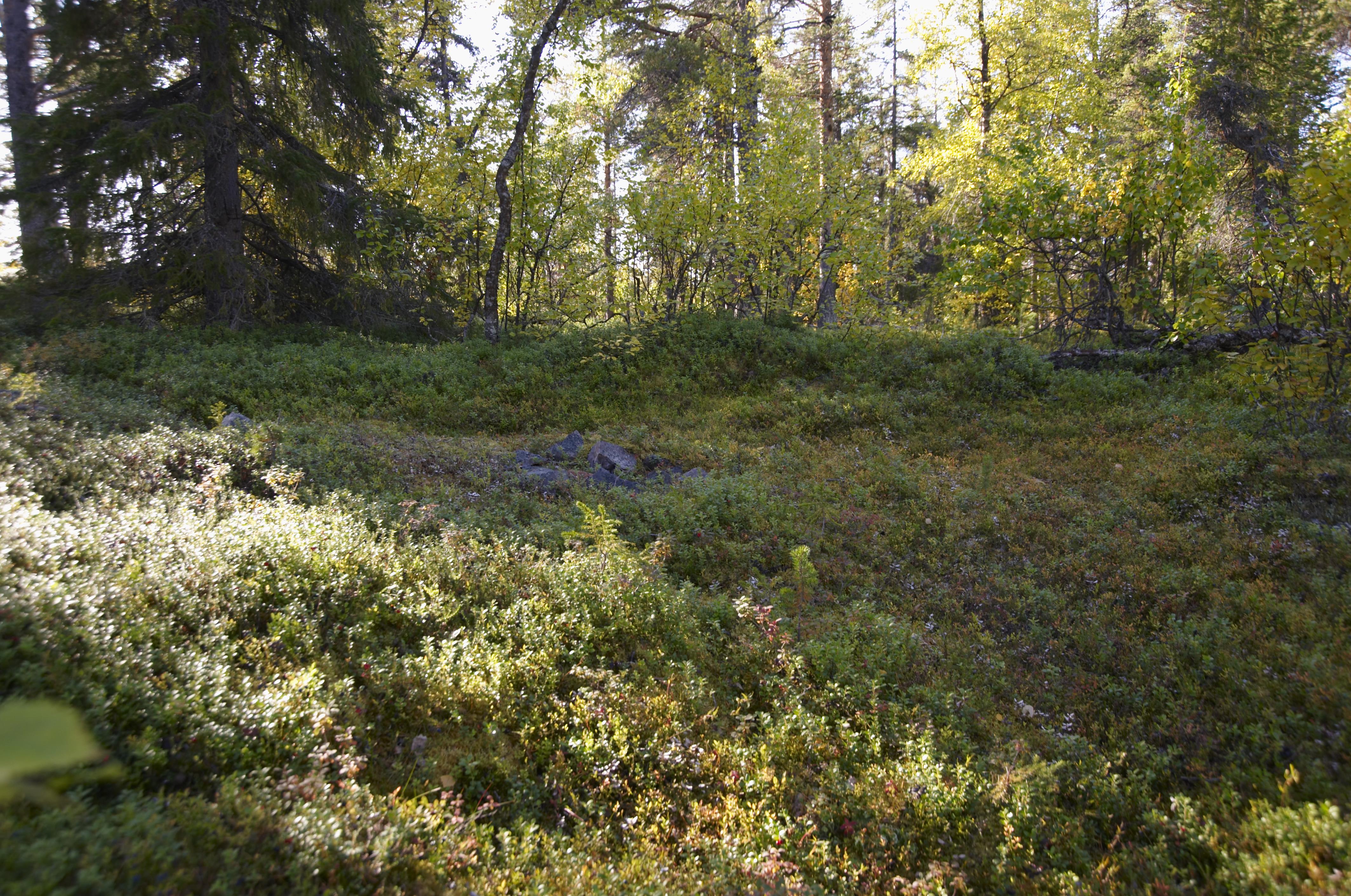 Bengt A Lundberg, Gällivare 1501:1