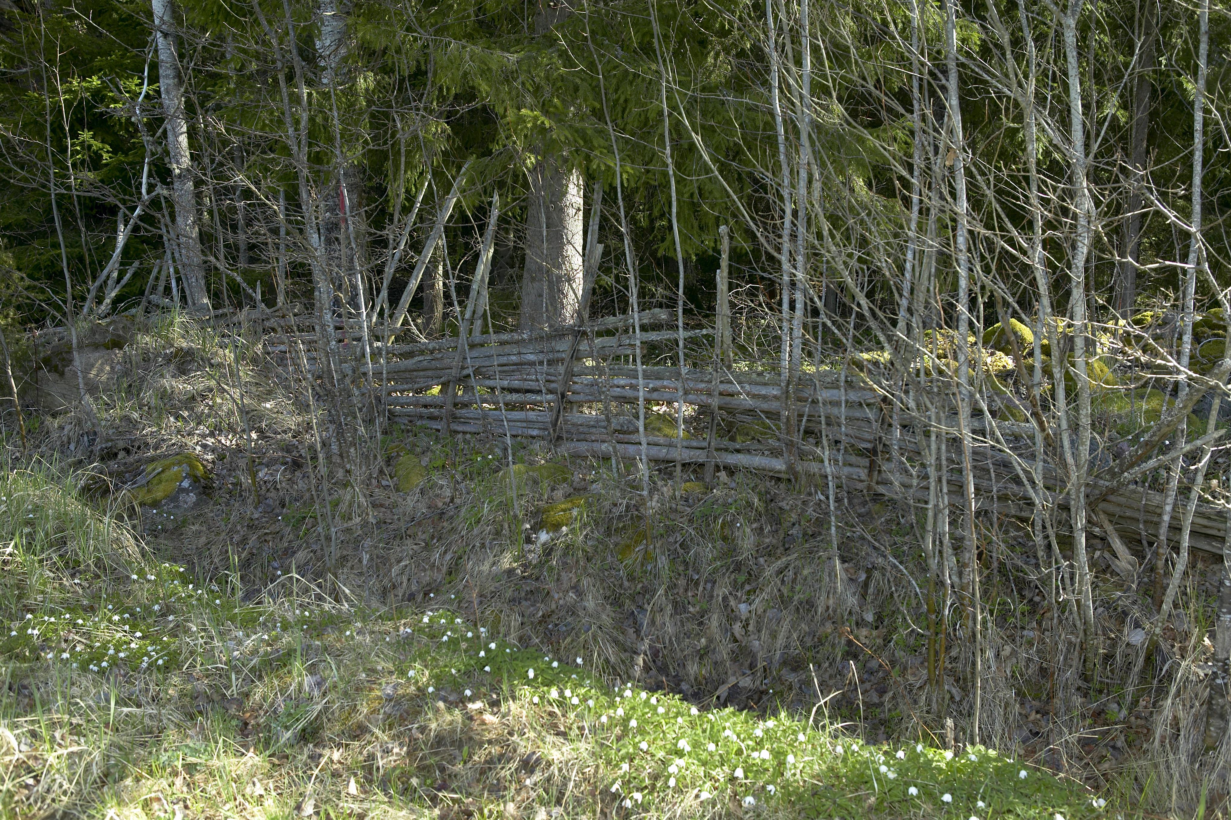 Bengt A Lundberg, Bredforsen
